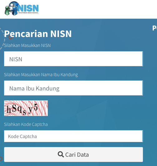 NISN online 2020