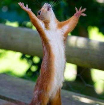 oh God please help my Facebook ads!